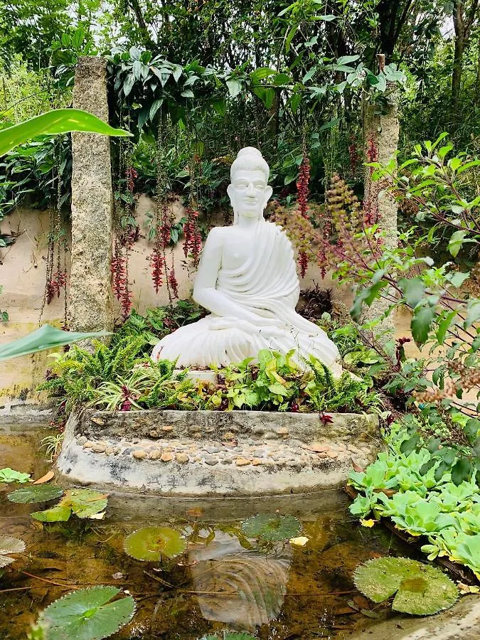 Koomankolly Resort Thirunelly